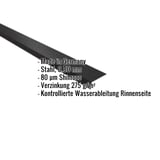 Traufenblech Tiefschwarz RAL 9005, Stahl 0,50 mm, 80 µm Shimoco, mit eingeblendeten Eckdaten