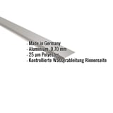 Traufenblech Graualuminium mit eingeblendeten Eckdaten Made in Germany, Aluminium 0,70 mm, 25 µm Polyester