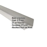 Wandanschluss aus Stahl Weißaluminium RAL 9006, 0,75 mm Stärke, mit eingeblendeten Eckdaten