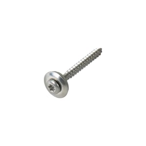 Edelstahlschraube blank, mit Tellerkopf und Torx-Antrieb, freigestellt