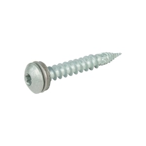 Edelstahlschraube Graualuminium (RAL 9007) mit Torx-Antrieb und Dichtscheibe, Seitenansicht