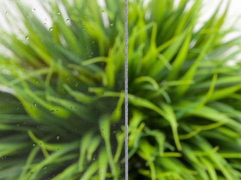 Transparente Massivplatte zeigt klare Sicht auf grüne Pflanzen dahinter, ideal für Innenraumdesign