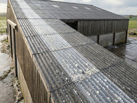 Hagelsichere Lichtplatte für Faserzementdächer im Stallbau