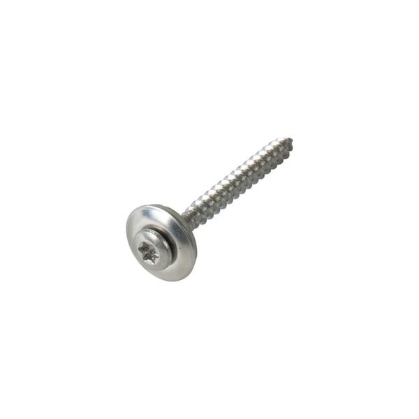 Edelstahlschraube blank, mit Tellerkopf und Torx-Antrieb, freigestellt