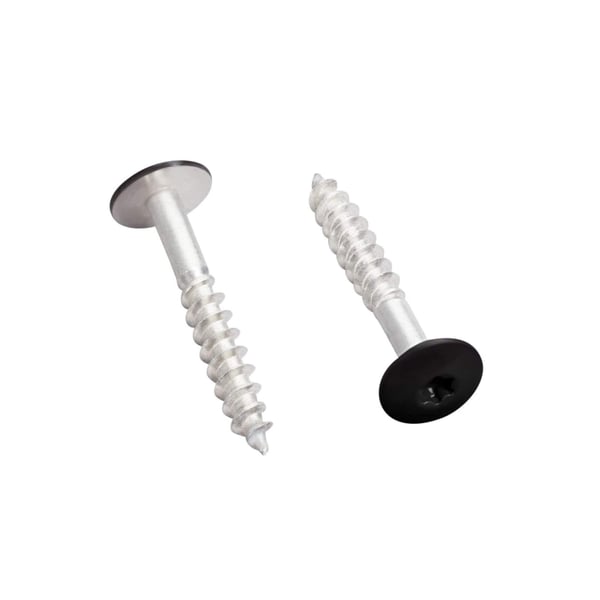 Edelstahlschrauben mit schwarzem Kopf, Torx-Antrieb, freigestellt