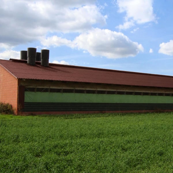 Landwirtschaftliches Gebäude mit rotbraunem Dach aus Faserzement Wellplatten Europa Profil 5