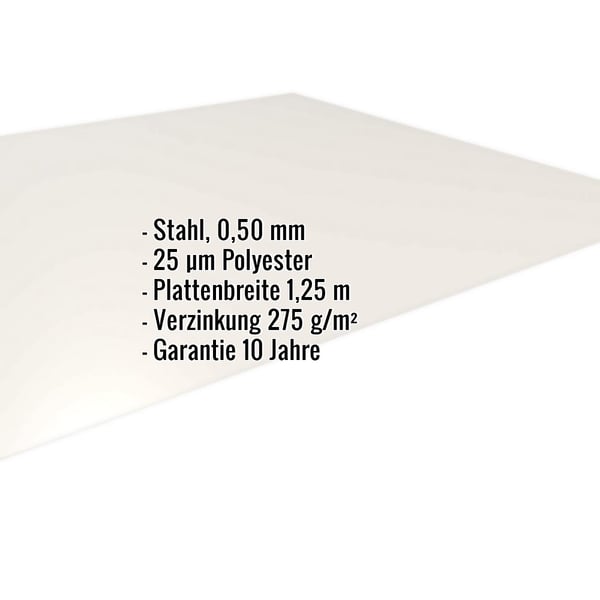 Flachblech Reinweiß RAL 9010, 0,50 mm Stahl, mit eingeblendeten Eckdaten