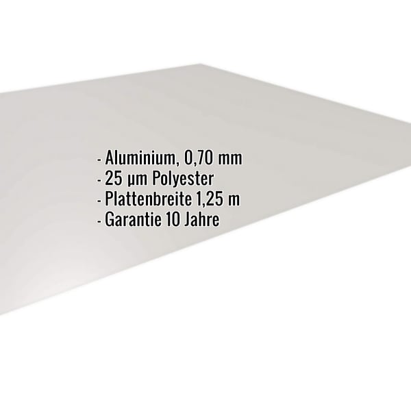 Flachblech Aluminium 0,70 mm Weißaluminium RAL 9006, mit eingeblendeten Eckdaten