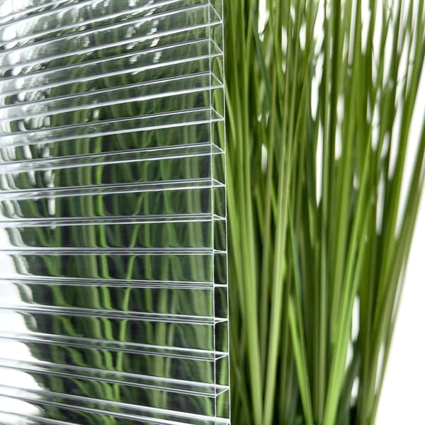 Detailansicht der 10 mm Polycarbonat Doppelstegplatte klar vor gruener Pflanze