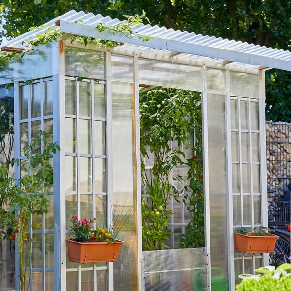 Anwendungsbeispiel: Gewächshaus mit Scobalit Polycarbonat Doppelstegplatten 6 mm klar und Pflanzen