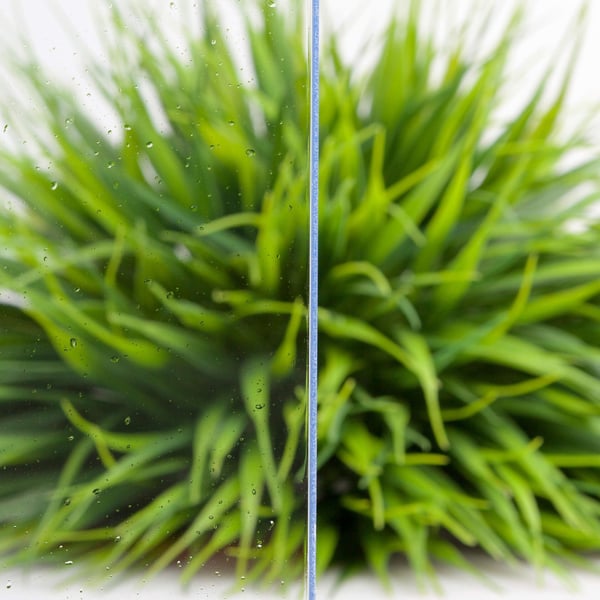 Detailansicht der 3 mm Polycarbonat Massivplatte, klar, mit Wassertropfen und unscharfem Hintergrund