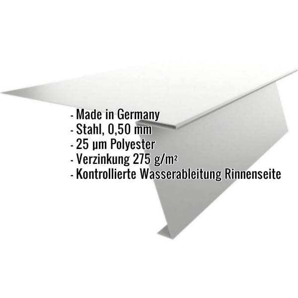Startprofil aus Stahl, 0,50 mm, Weißaluminium RAL 9006, mit eingeblendeten Eckdaten