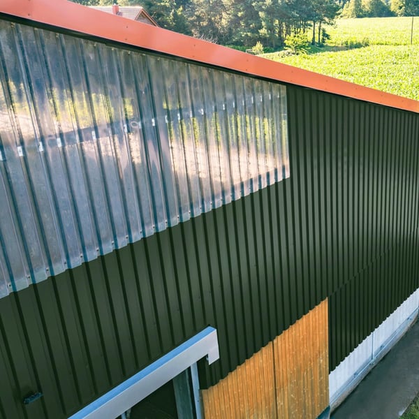 Gewerbehalle mit Wand aus Trapezblech 20/1100 Chromoxidgrün und Lichtplatten, Weckman