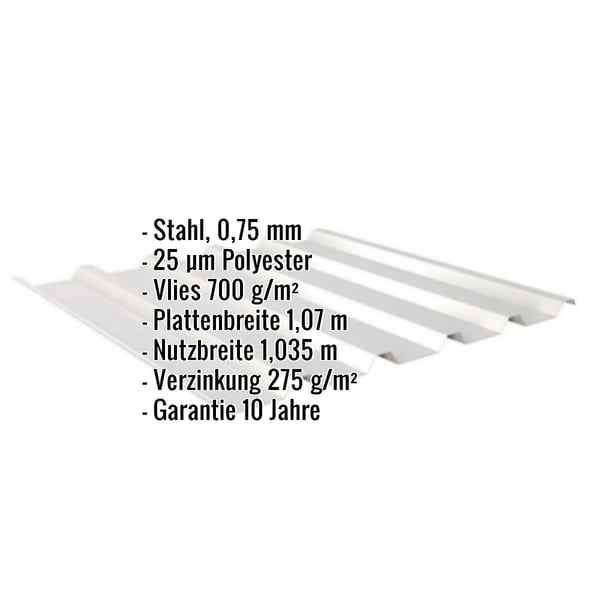 Trapezblech 35/207 in Weißaluminium, Stahl 0,75 mm, mit Anti-Tropf-Vlies, Eckdaten eingeblendet