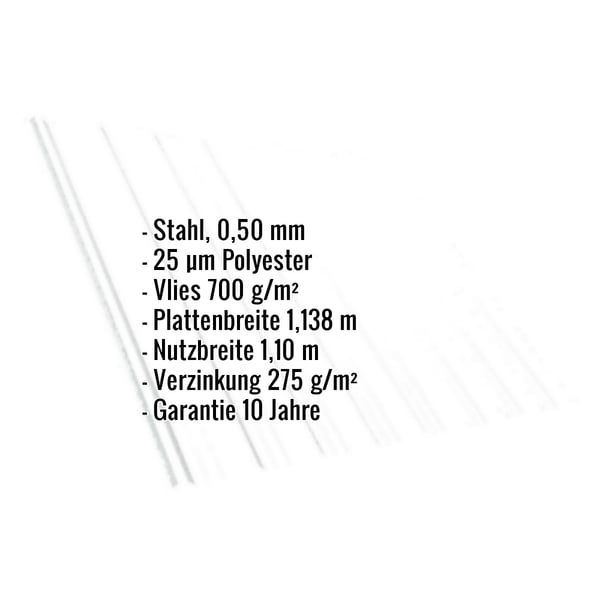 Infografik mit den wichtigsten Eckdaten des Trapezblechs: Material, Staerke, Beschichtung, Masse und Garantie
