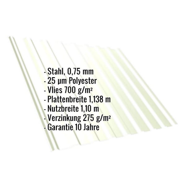Trapezblech T20M Stahl 0,75 mm Grauweiß, Infografik mit Eckdaten zu Material, Stärke, Beschichtung und Garantie