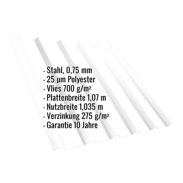 Trapezblech T35/207M Reinweiß, Infografik mit Eckdaten: Stahl 0,75mm, 25µm Polyester, Vlies 700g/m², Plattenbreite 1,07m