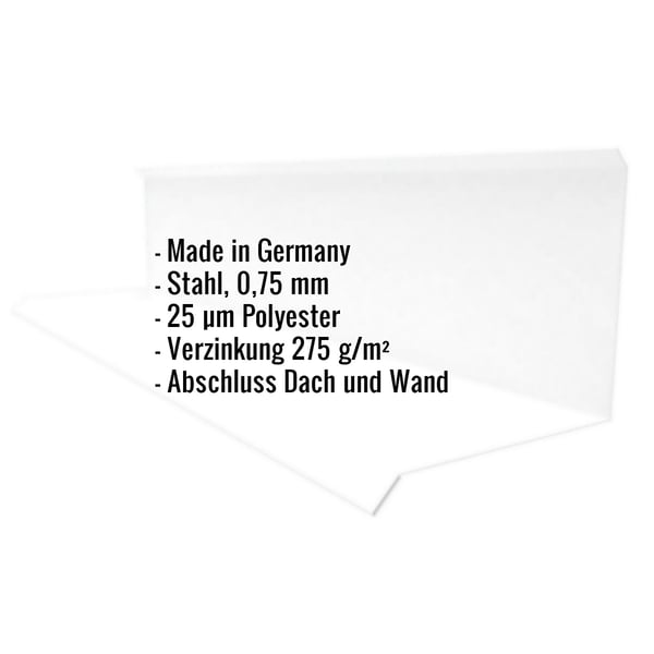 Infografik: Wandanschluss Typ 3 aus Stahl, 0,75 mm, 25 µm Polyesterbeschichtung, Eckdaten eingeblendet