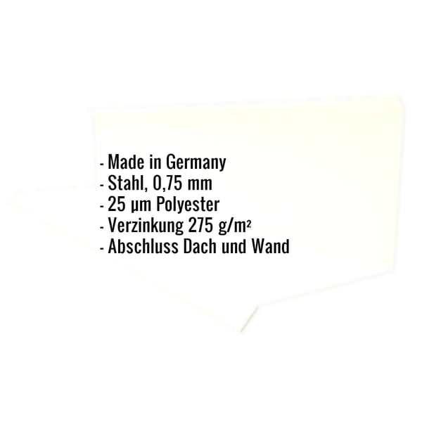 Infografik: Wandanschluss Typ 3 aus Stahl, 0,75 mm, 25 µm Polyesterbeschichtung, Verzinkung 275 g/m², Abschluss Dach und Wand