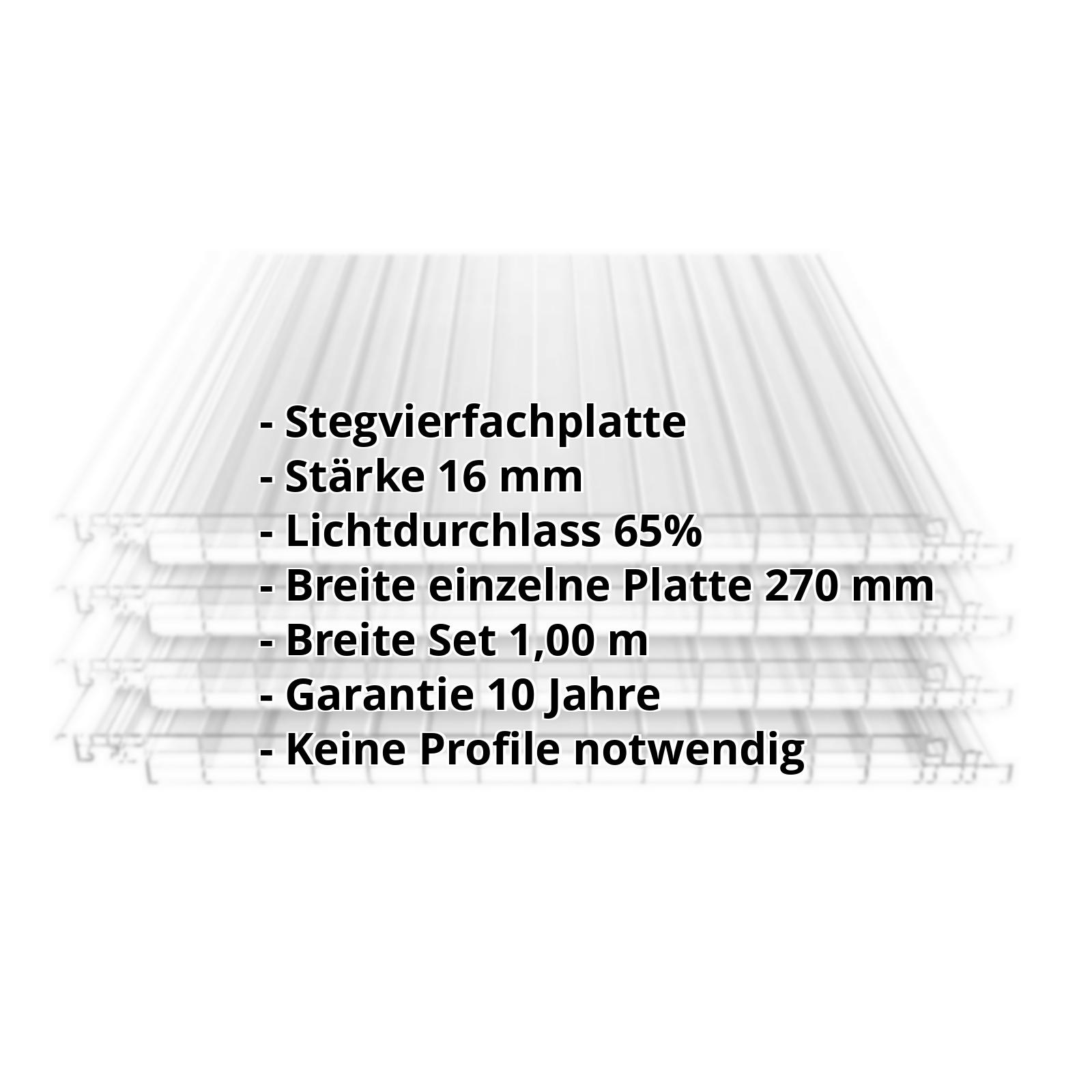 Polycarbonat Click Paneel | 16 mm | Nutzbreite 250 mm | Länge 2,50 m | Klar, Eis-Effekt #2