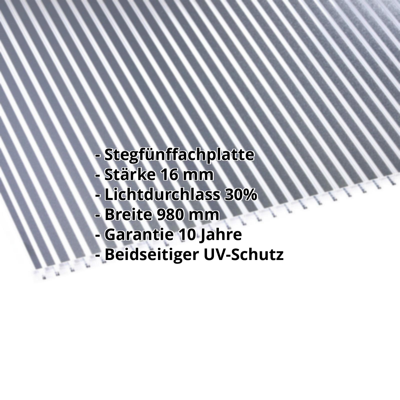 Polycarbonat Stegplatte | 16 mm | Breite 980 mm | Klar / Anthrazit gestreift | Beidseitiger UV-Schutz | 2000 mm #2