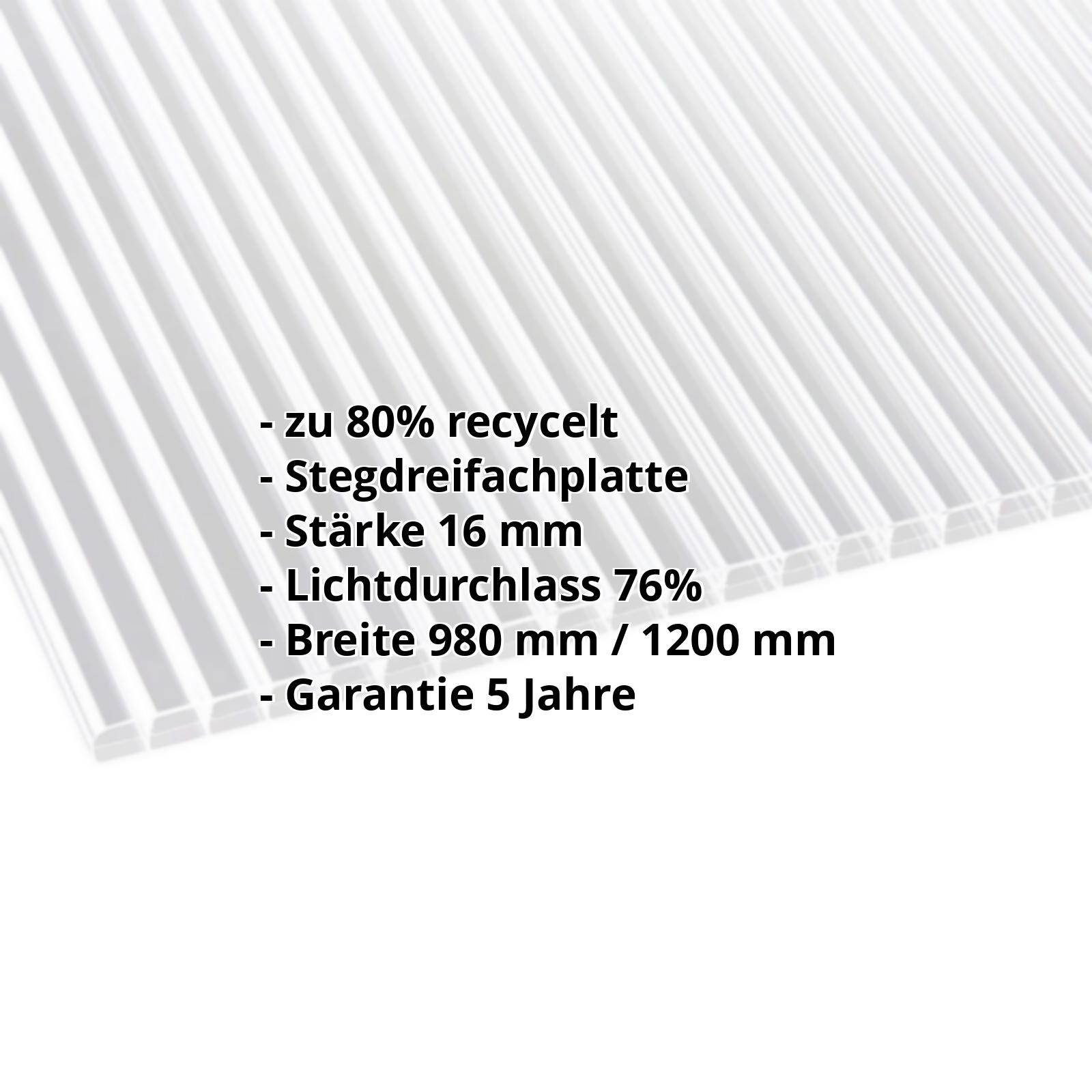 Polycarbonat Stegplatte | 16 mm | Breite 980 mm | Klar | Blueline | 2000 mm #2
