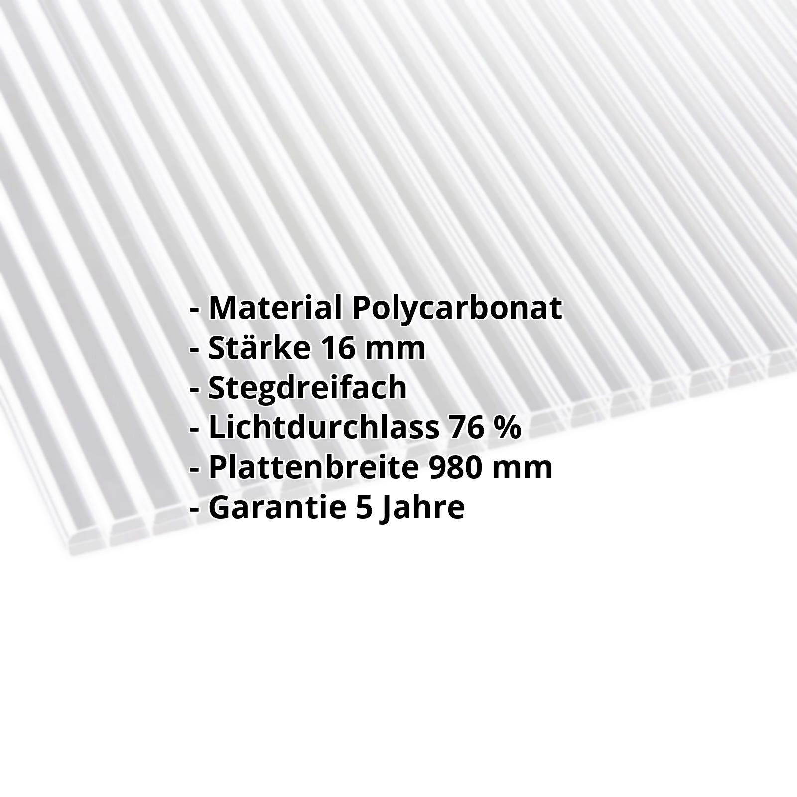 Polycarbonat Stegplatte | 16 mm | Breite 980 mm | Klar | Blueline | 2000 mm #2