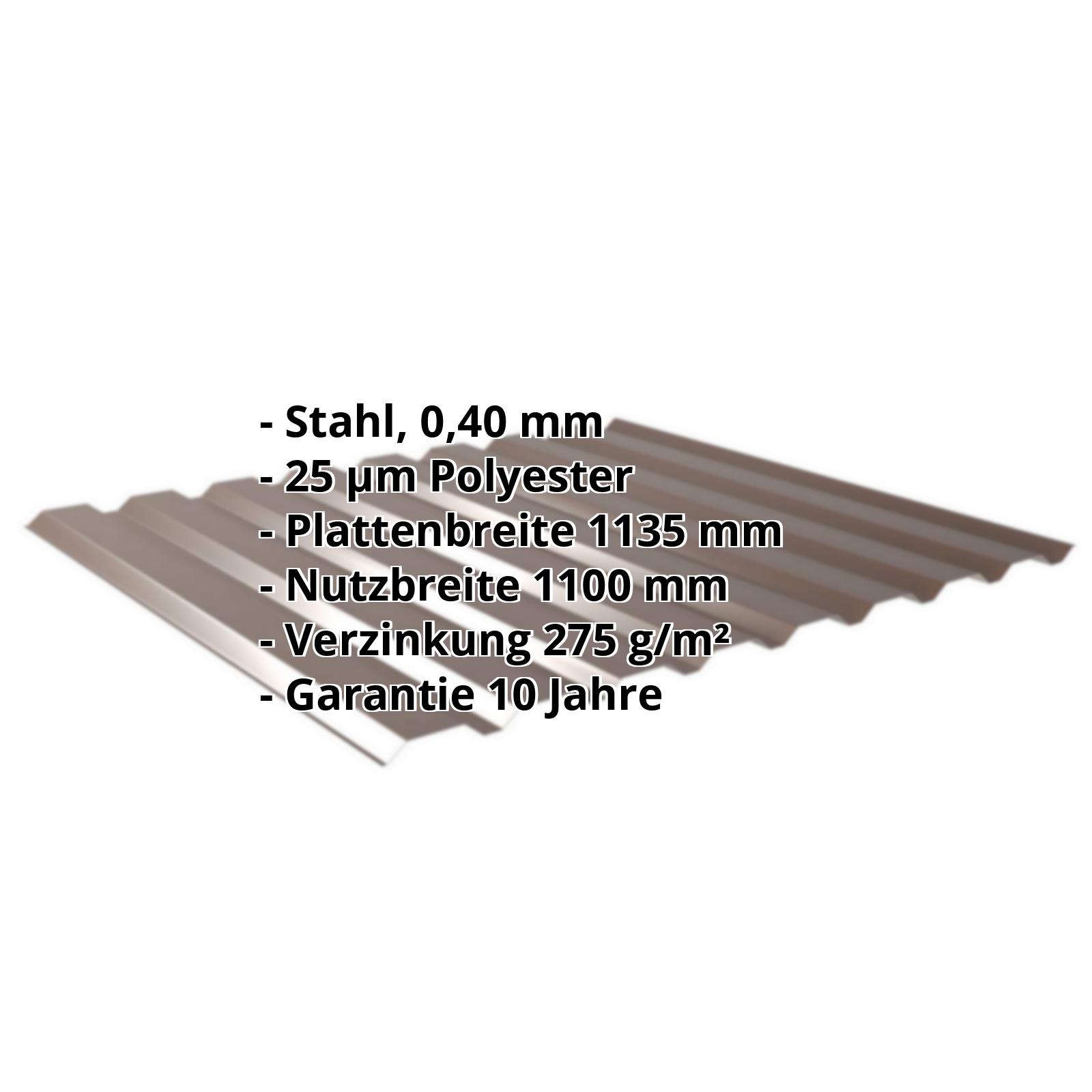 Trapezblech 20/1100 | Wand | Sonderposten | Stahl 0,40 mm | 25 µm Polyester | 8014 - Sepiabraun #2