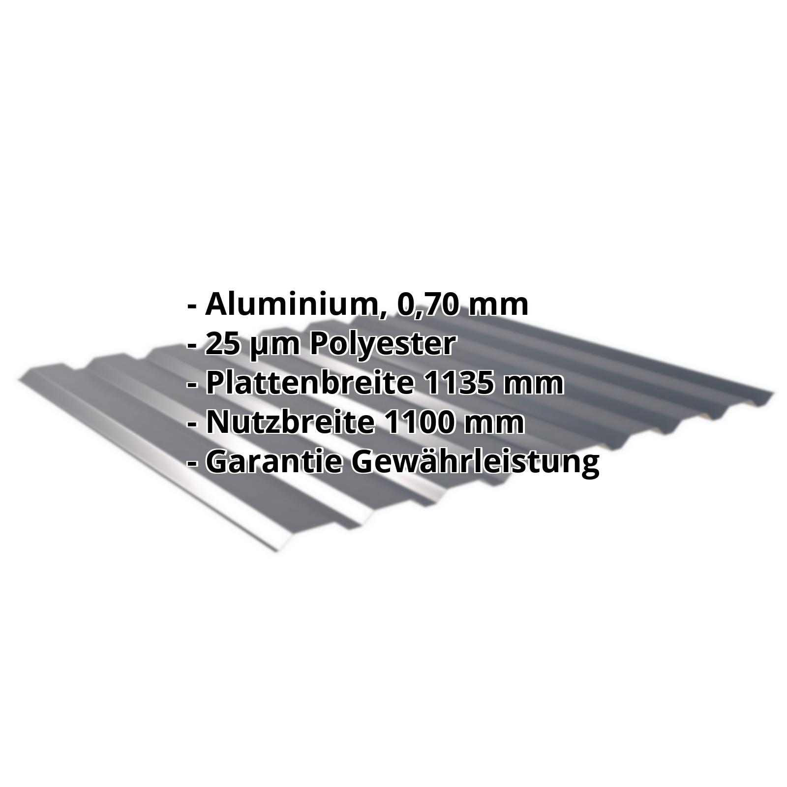 Trapezblech 20/1100 | Wand | Aluminium 0,70 mm | 25 µm Polyester | 7016 - Anthrazitgrau #2
