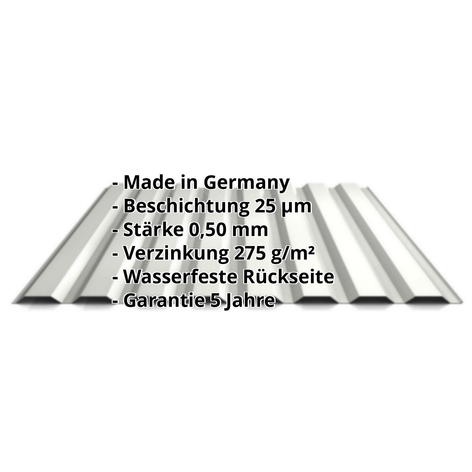 Trapezblech PS20/1100TW | 25 µm Polyester | Wand | Stahl 0,50 mm | 9002 - Grauweiß #2