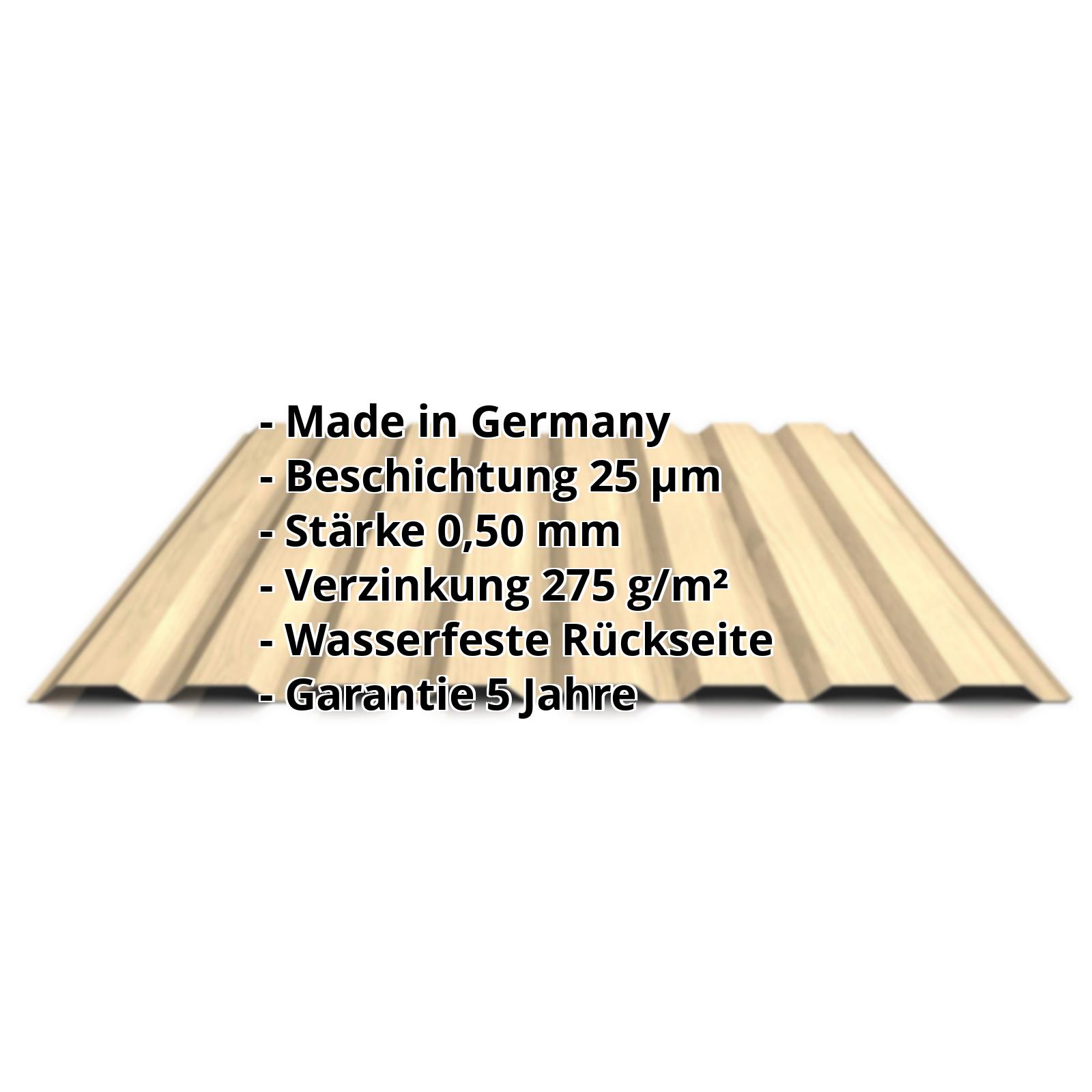 Trapezblech PS20/1100TW | 35 µm Strukturpolyester | Wand | Stahl 0,50 mm | Holzoptik - Ahorn #2