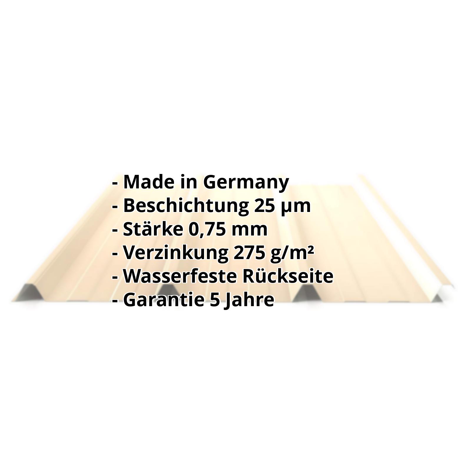 Trapezblech PS45/1000TR | 25 µm Polyester | Dach | Stahl 0,75 mm | 1015 - Hellelfenbein #2