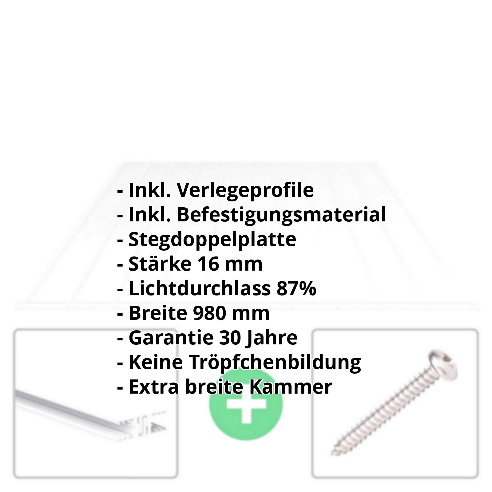 Acrylglas Stegplatte | 16 mm | Profil Zevener Sprosse | Sparpaket | Plattenbreite 980 mm | Klar | Breitkammer | Breite 3,13 m | Länge 2,00 m #2