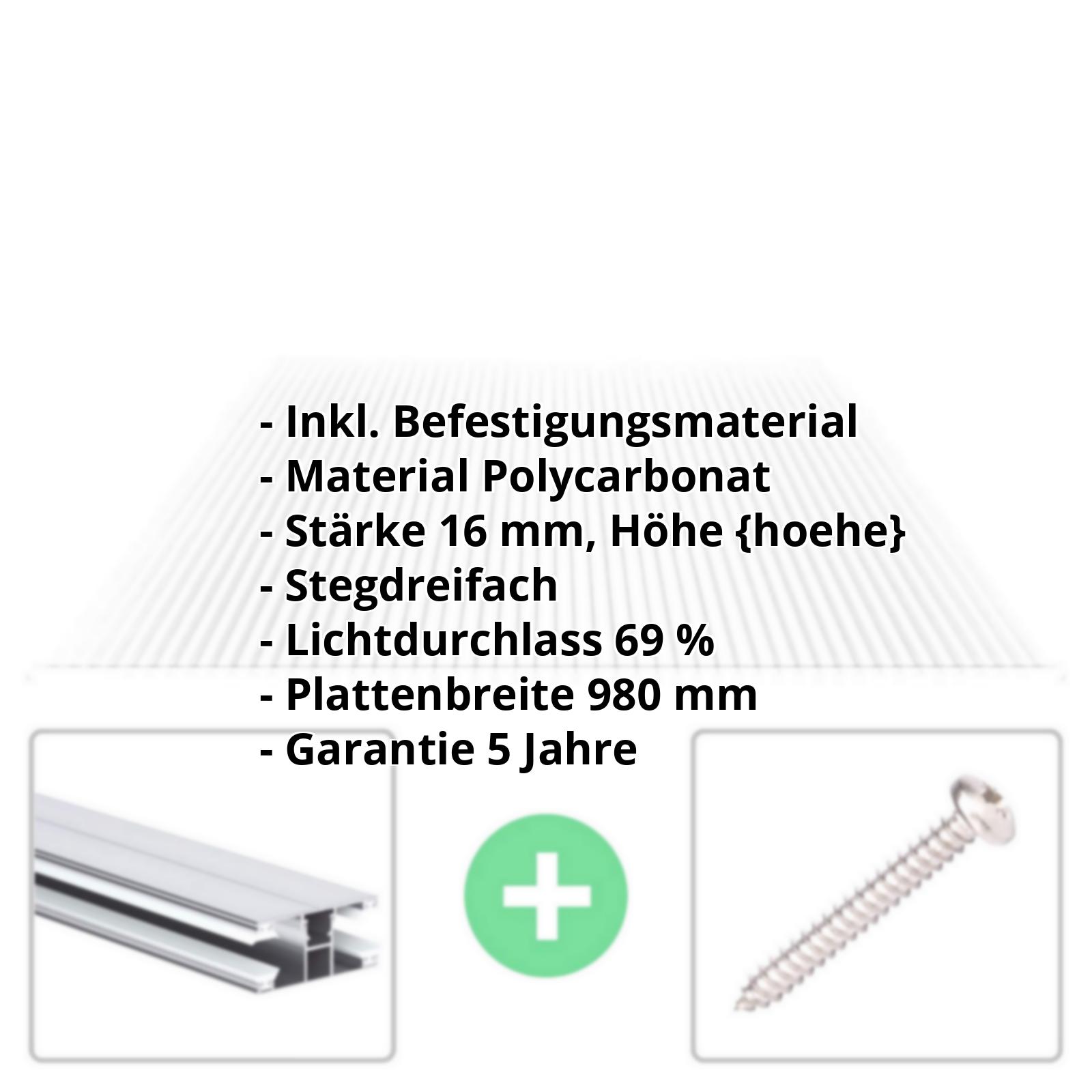 Polycarbonat Stegplatte | 16 mm | Profil DUO | Sparpaket | Plattenbreite 980 mm | Klar | Novalite | Breite 3,09 m | Länge 2,00 m #2