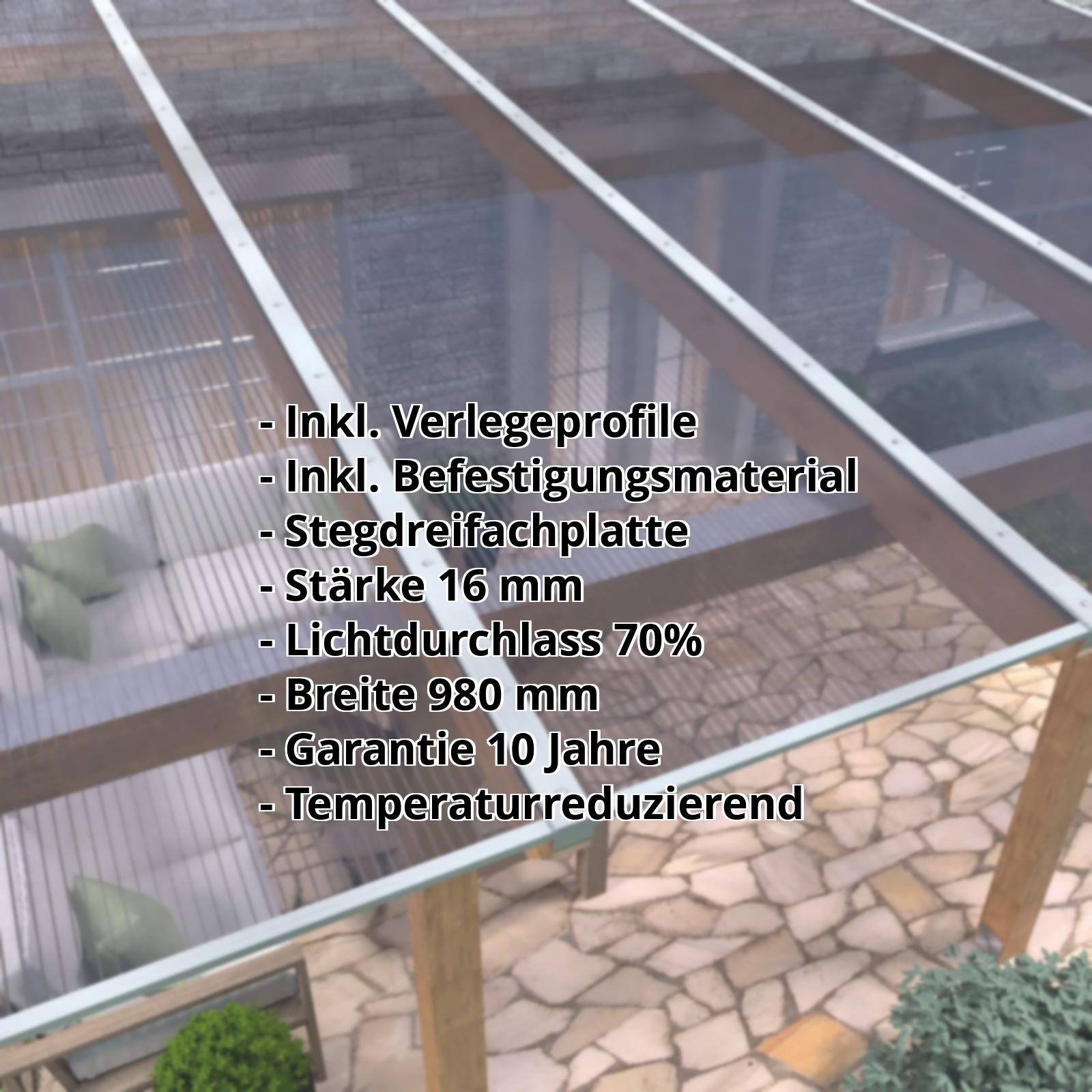 Polycarbonat Stegplatte | 16 mm | Profil DUO | Sparpaket | Plattenbreite 980 mm | Klar, leicht Violett | Breite 3,09 m | Länge 2,00 m #2