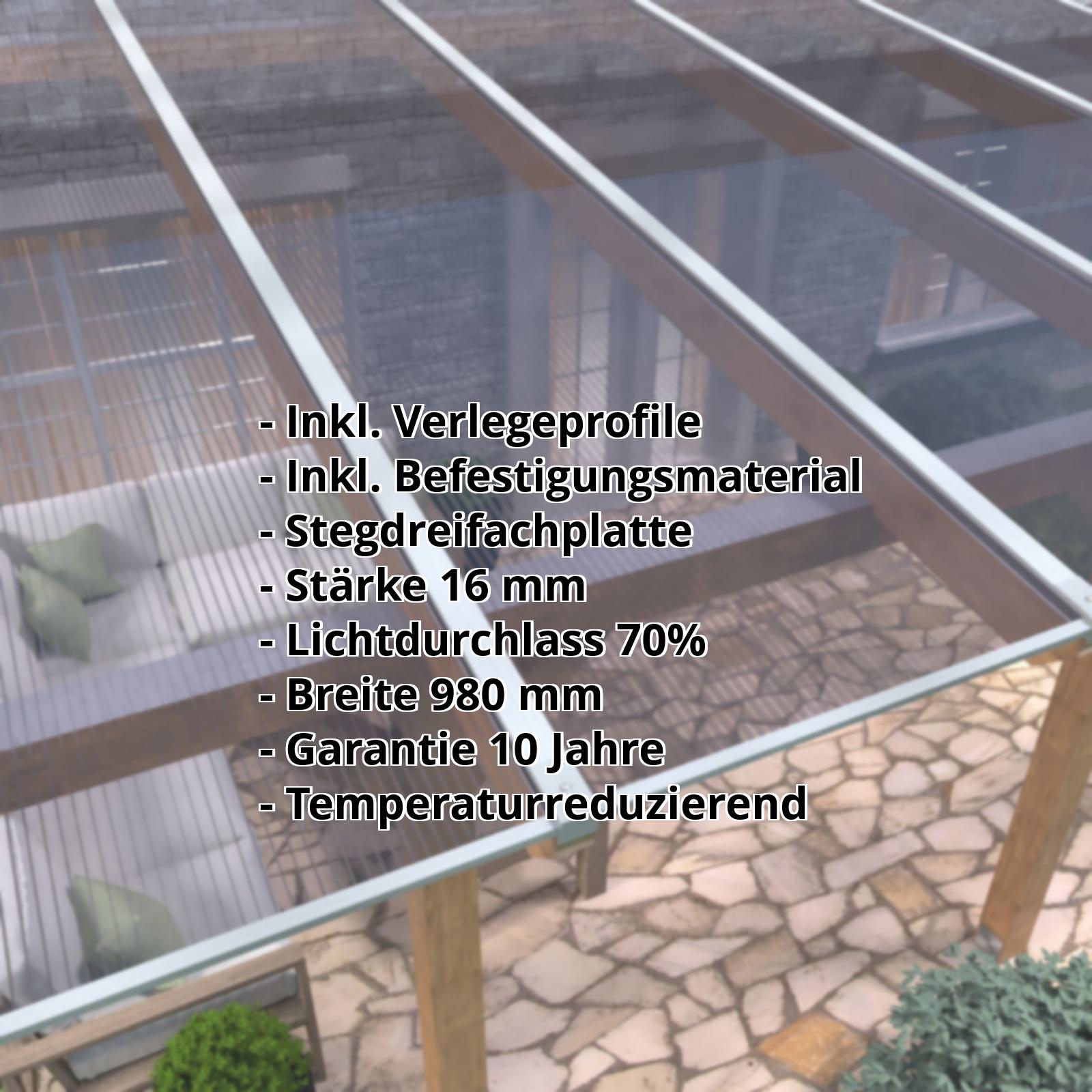 Polycarbonat Stegplatte | 16 mm | Profil Mendiger | Sparpaket | Plattenbreite 980 mm | Klar, leicht Violett | Breite 3,09 m | Länge 2,00 m #2