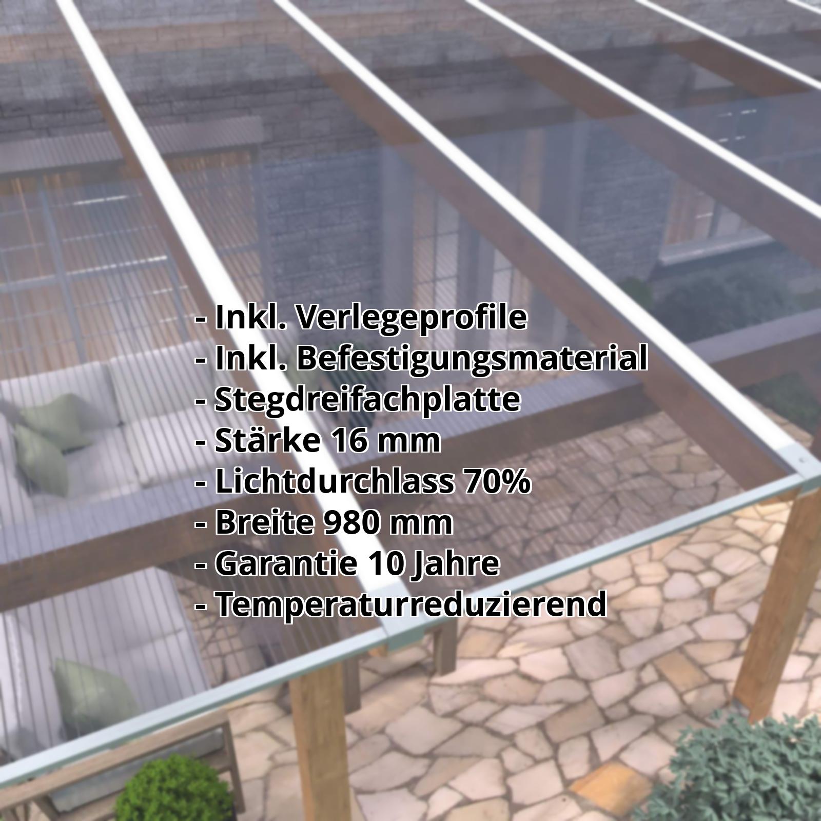 Polycarbonat Stegplatte | 16 mm | Profil Zevener Sprosse | Sparpaket | Plattenbreite 980 mm | Klar, leicht Violett | Breite 3,13 m | Länge 2,00 m #2