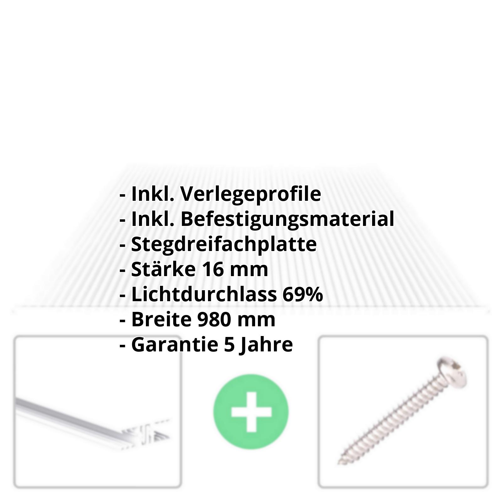 Polycarbonat Stegplatte | 16 mm | Profil Zevener Sprosse | Sparpaket | Plattenbreite 980 mm | Klar | Novalite | Breite 3,13 m | Länge 2,00 m #2