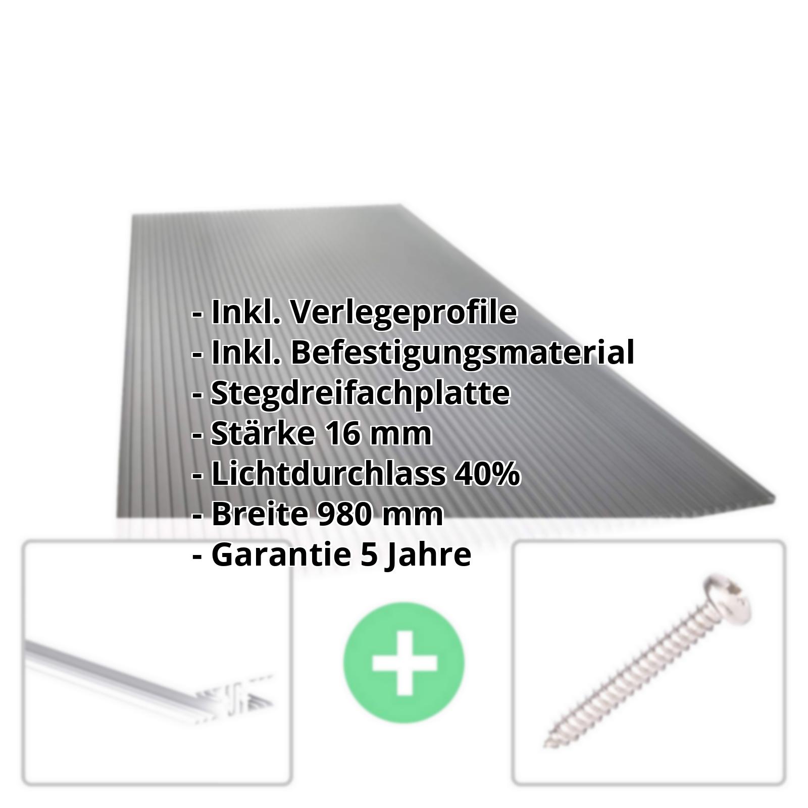 Polycarbonat Stegplatte | 16 mm | Profil Zevener Sprosse | Sparpaket | Plattenbreite 980 mm | Anthrazitgrau | Novalite | Breite 3,13 m | Länge 2,00 m #2