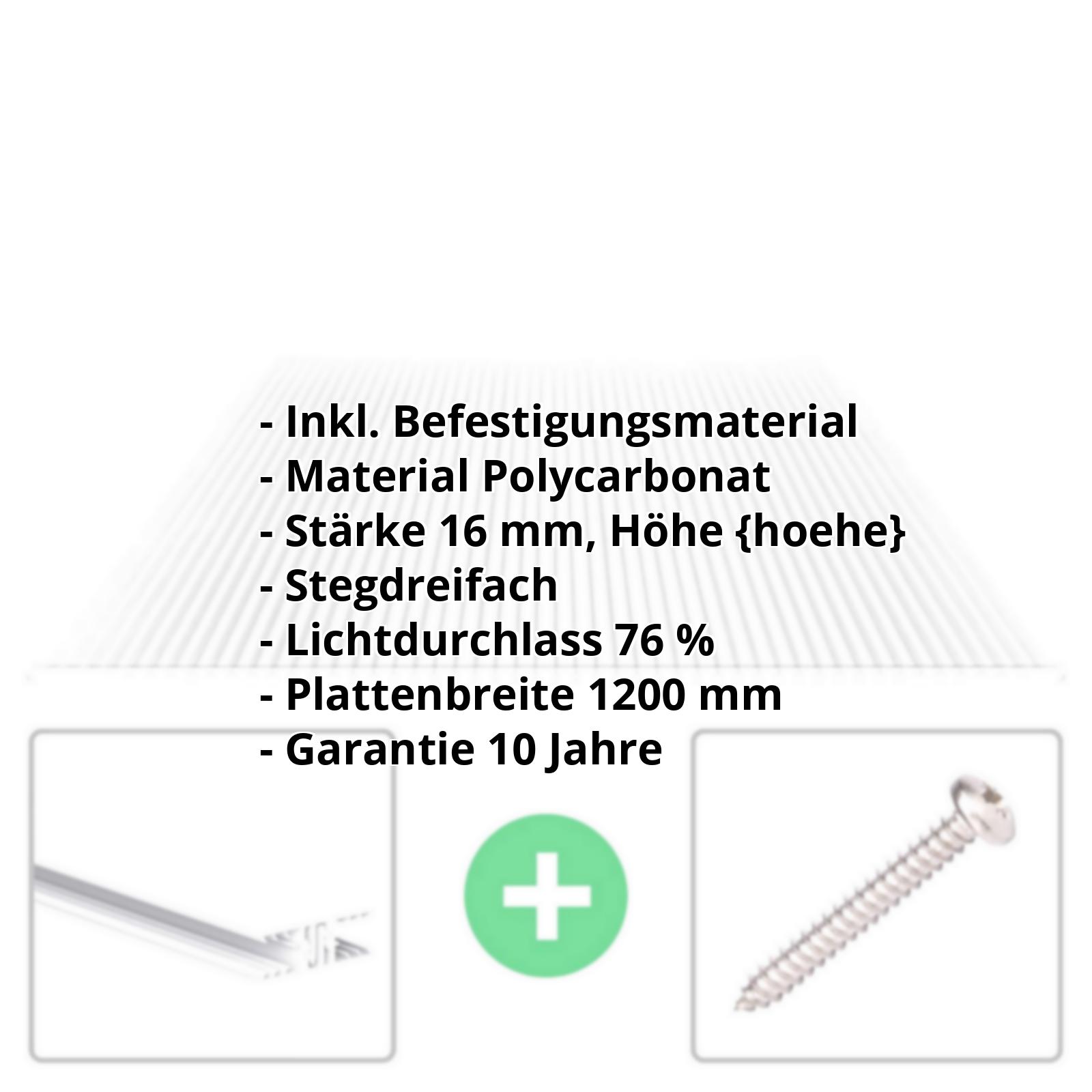 Polycarbonat Stegplatte | 16 mm | Profil Zevener Sprosse | Sparpaket | Plattenbreite 1200 mm | Klar | Breite 3,79 m | Länge 2,00 m #2