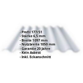 Faserzement Wellplatte Europa Profil 6 | Naturgrau | 1250 mm #2