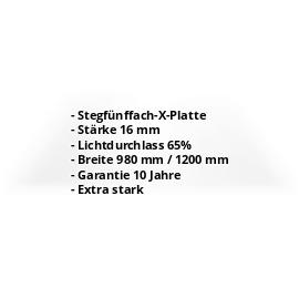 Polycarbonat Stegplatte | 16 mm | Breite 1200 mm | Klar | Extra stark | 500 mm #2