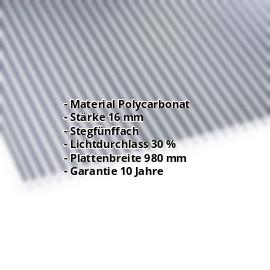 Polycarbonat Stegplatte | 16 mm | Breite 980 mm | Klar / Anthrazit gestreift | Beidseitiger UV-Schutz | 2000 mm #2