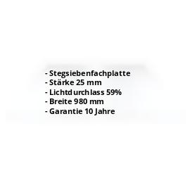 Polycarbonat Stegplatte | 25 mm | Breite 980 mm | Klar | Extra Stark | 500 mm #2