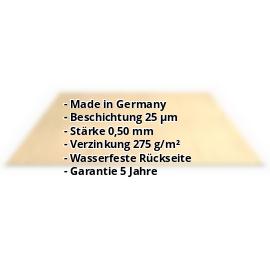 Flachblech | 35 µm Strukturpolyester | Stahl 0,50 mm | Holzoptik - Ahorn #2