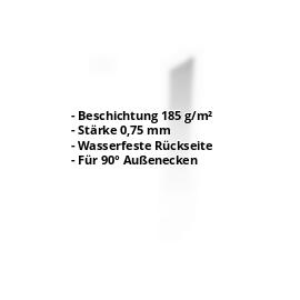 Außenecke | Aluzink | 100 x 100 x 2000 mm | Stahl 0,75 mm | Blank Aluminium #2