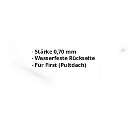 Pultabschluss | Alu Natur | 110 x 100 x 2000 mm | 80° | Aluminium 0,70 mm | Blank Aluminium #2