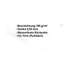 Pultabschluss | Aluzink | 110 x 100 x 2000 mm | 80° | Stahl 0,50 mm | Blank Aluminium #2
