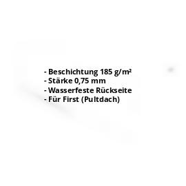 Pultabschluss | Aluzink | 110 x 100 x 2000 mm | 80° | Stahl 0,75 mm | Blank Aluminium #2