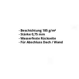 Wandanschluss | Aluzink | Typ 1 | 100 x 110 x 2000 mm | 90° | Stahl 0,75 mm | Blank Aluminium #2